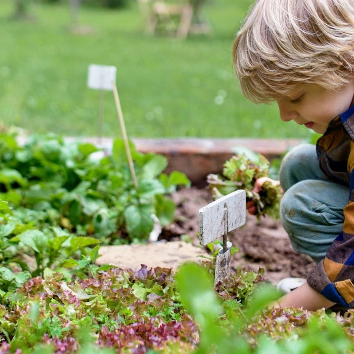 Fast-Germinating and Easy-Win Crops to Keep Kids Interested in Gardening