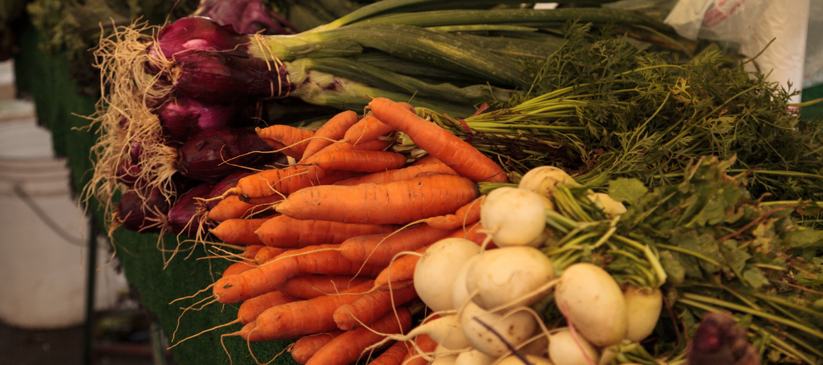 How To Grow Biennial Vegetables For Seed (carrots, beets, onions, brassicas and more)