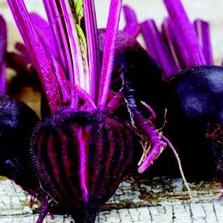 Choosing Nutritious Root Crops—Look For Darkest-Colored Varieties