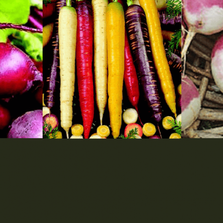 Sweet & Succulent Carrots & Other Root Crops