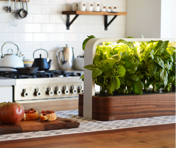 The ēdn SmallGarden: A Modern Solution for Indoor Gardening