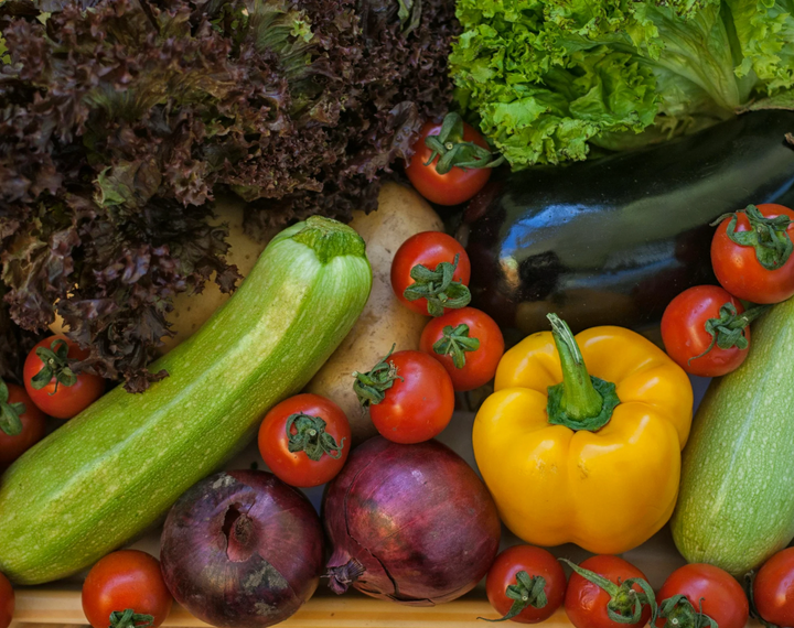 What Vegetable Seeds to Buy Online for Your First Garden