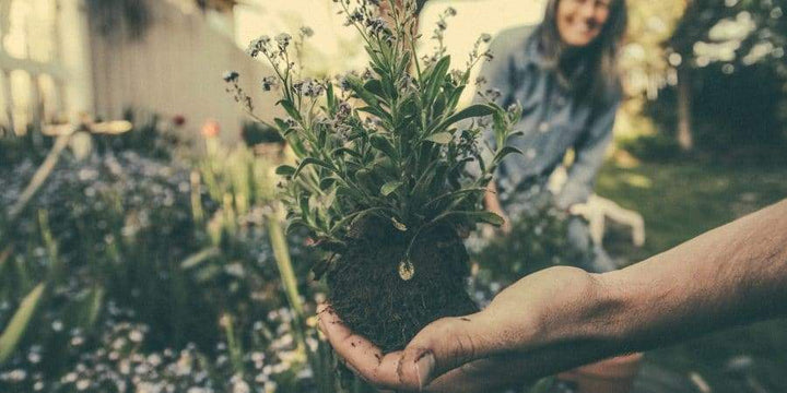 Sustainable Farmer Joel Salatin Says Planting Garden Should Cure “Loneliness”