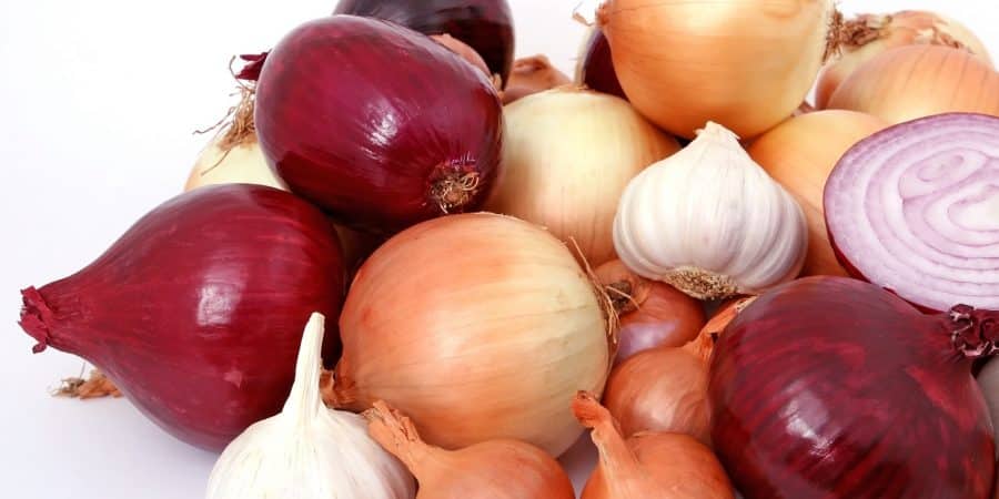 Order Bulb-Forming Onion Plants Now For Bountiful Harvest Come Fall