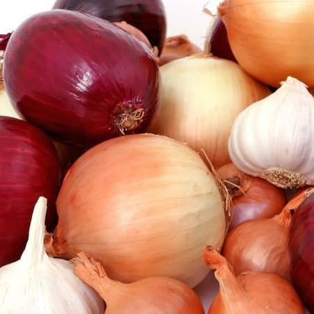 Order Bulb-Forming Onion Plants Now For Bountiful Harvest Come Fall