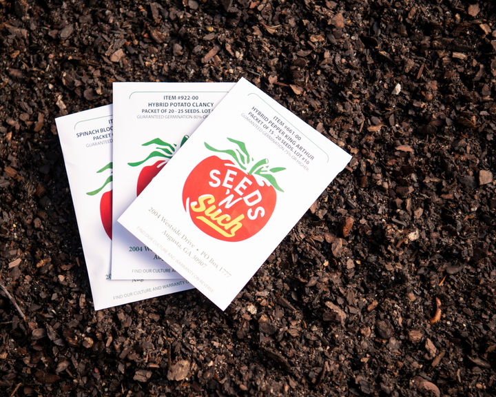 Vegetable Seeds Online 101: How to Read Seed Packets Like a Pro