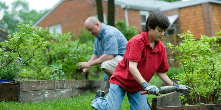 Foodscaping: Practical And Innovative Ways To Create An Edible Landscape