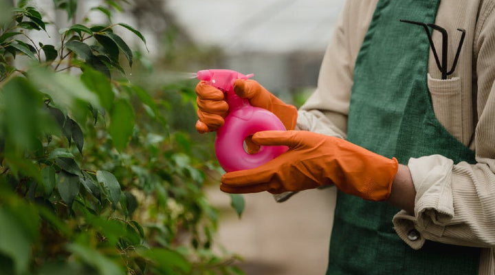 The Only Chemical-Free Pesticide Guide You’ll Ever Need