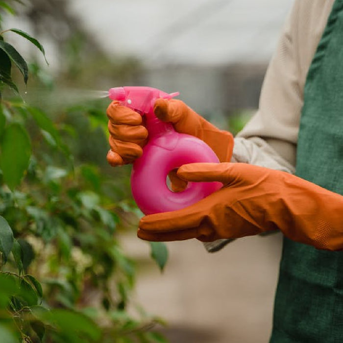 The Only Chemical-Free Pesticide Guide You’ll Ever Need
