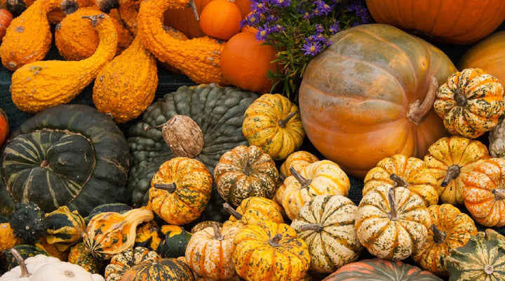 Crafting With Gourds (4 Easy Ways To Use Homegrown Gourds)