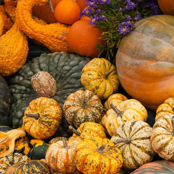 Crafting With Gourds (4 Easy Ways To Use Homegrown Gourds)