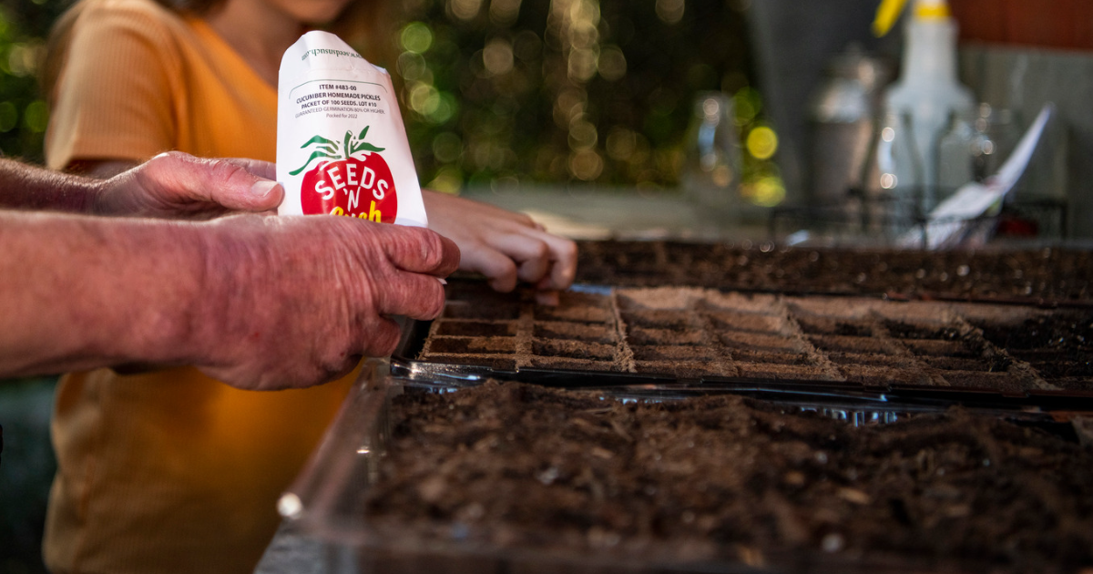 7 Effective Techniques to Make Sowing Small Seeds Fun