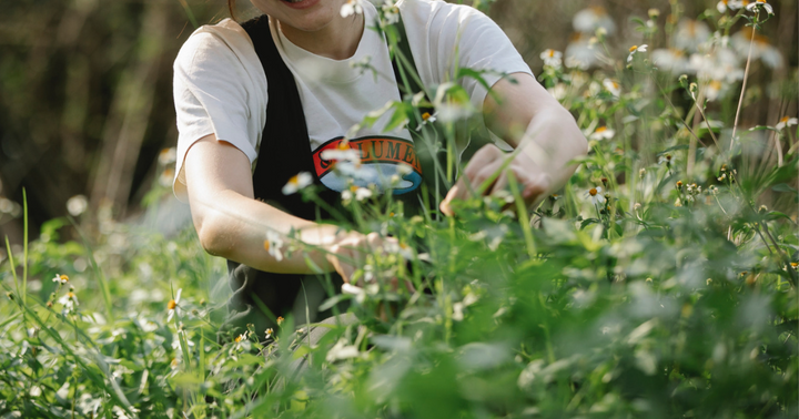Guide to pinching flowers