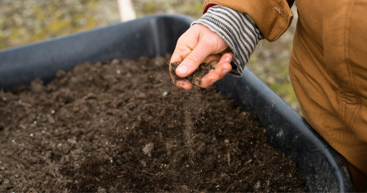 Sand, Silt, and Clay Soil (and how to see which one you have)