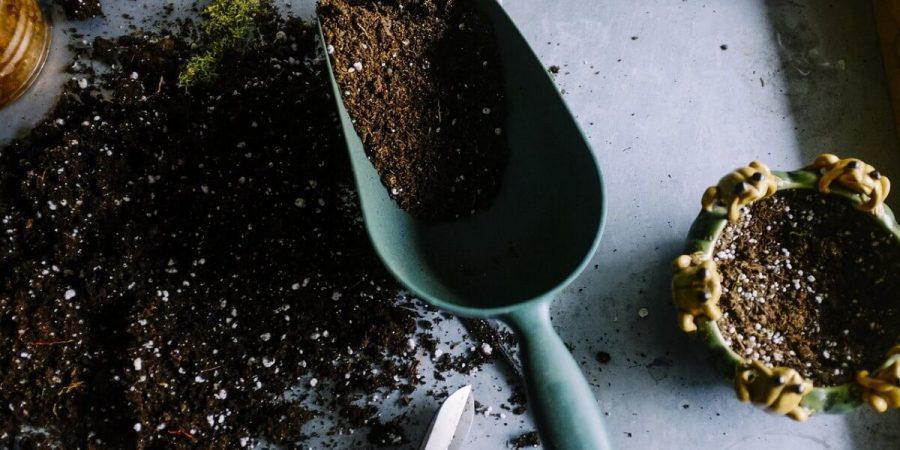 Seeds ‘n Such Begins Publishing New Gardening Series Booklets