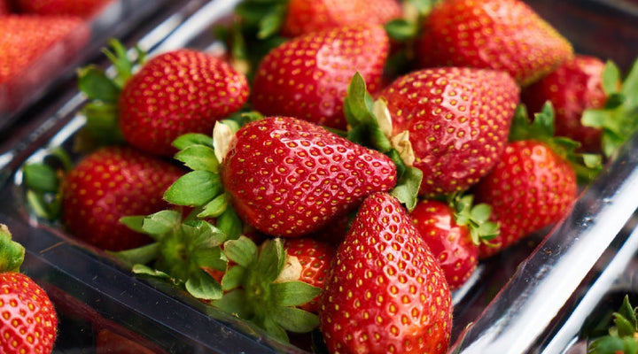 Gardening For Health And Wellness