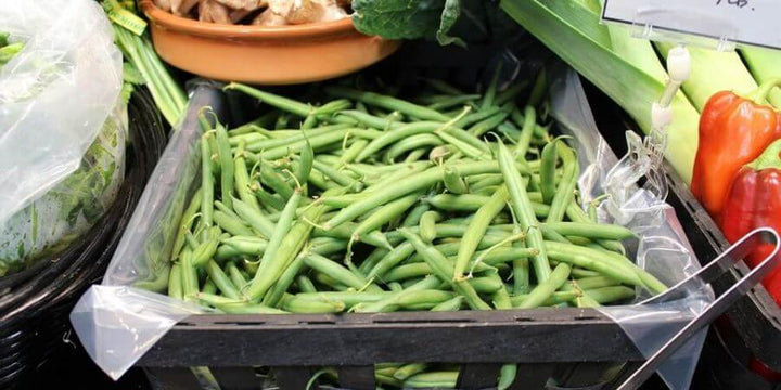 Bean Seeds Are Back—Grow Your Own Protein!