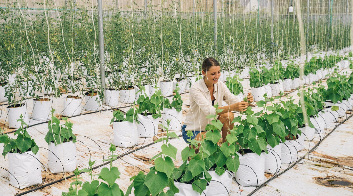 Growing Your Own Vegetables Saves Plastic (Plus Other Ways Gardening Is Better For The Planet)