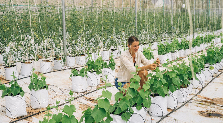 Growing Your Own Vegetables Saves Plastic (Plus Other Ways Gardening Is Better For The Planet)