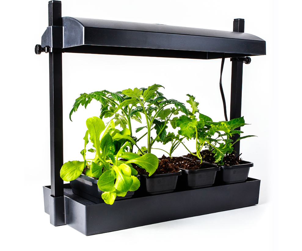 Grow Lights