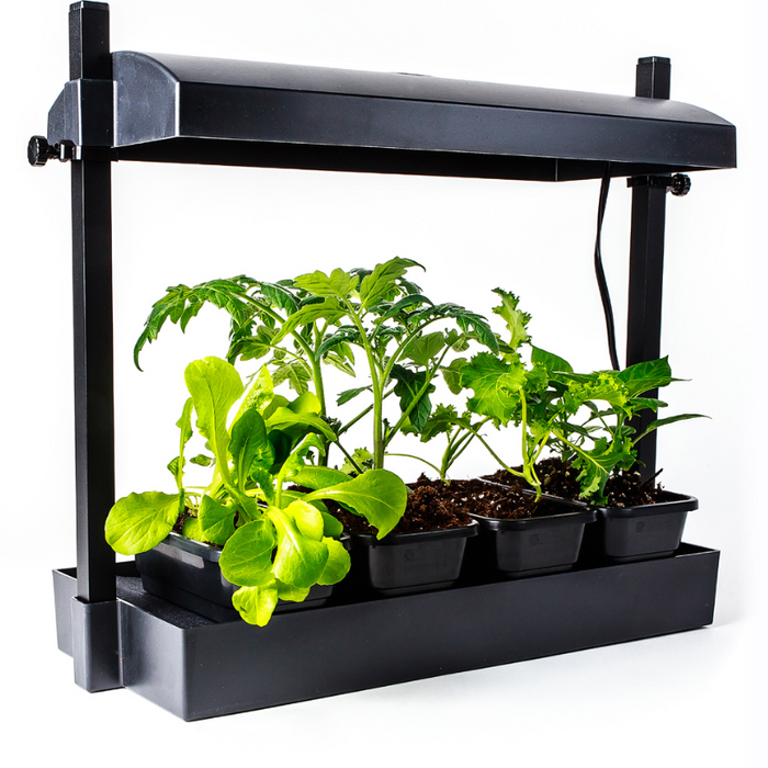 Grow Lights