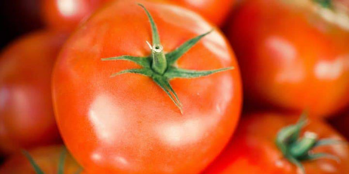 How To Win Those Bragging Rights for the Earliest Ripe Tomato