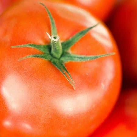 How To Win Those Bragging Rights for the Earliest Ripe Tomato