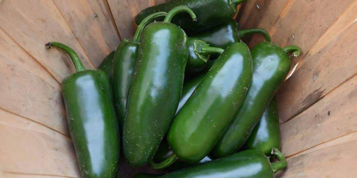 New Gourmet Peppers—From Mild To Fiery Hot!