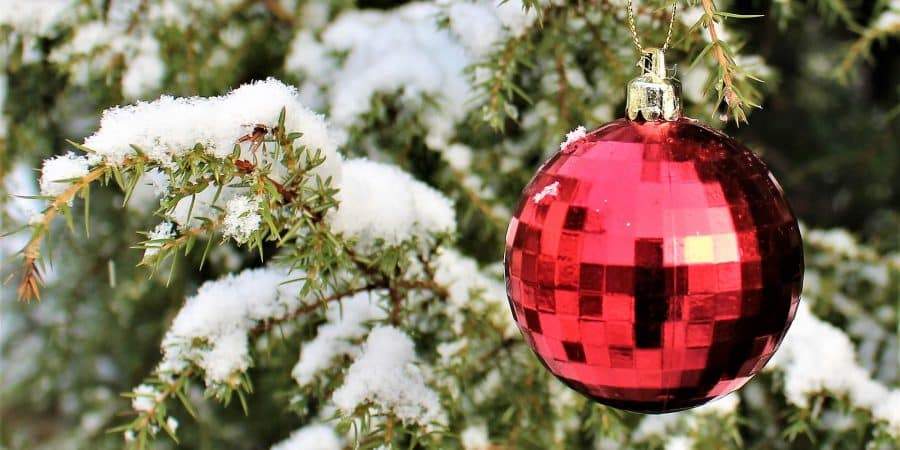 Christmas—Time To Order Seeds For Starting Your Own Garden!