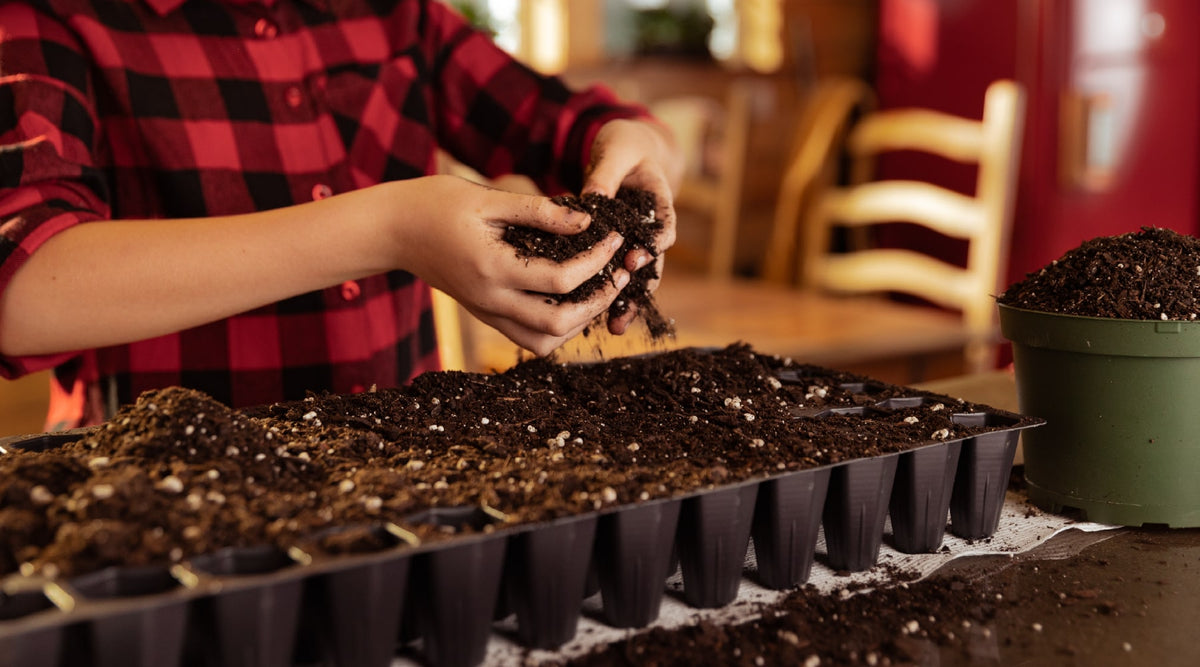 Starting Your Kid’s First Vegetable Garden