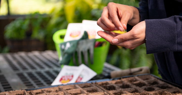 How to Harden Off Seedlings Quickly: 5 Tips for Growing Healthy Plants
