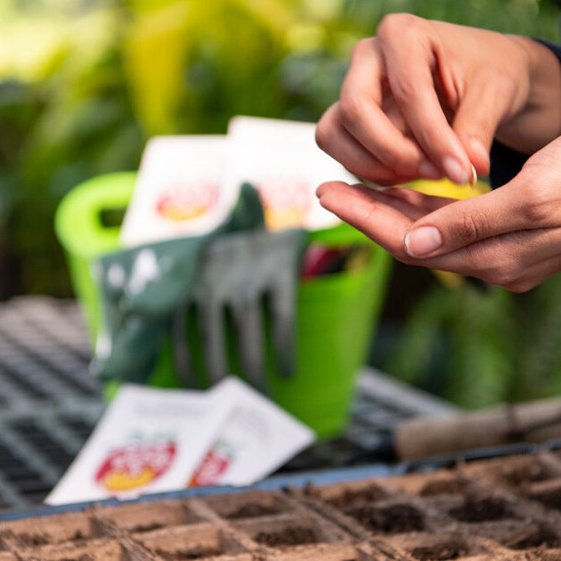How to Harden Off Seedlings Quickly: 5 Tips for Growing Healthy Plants