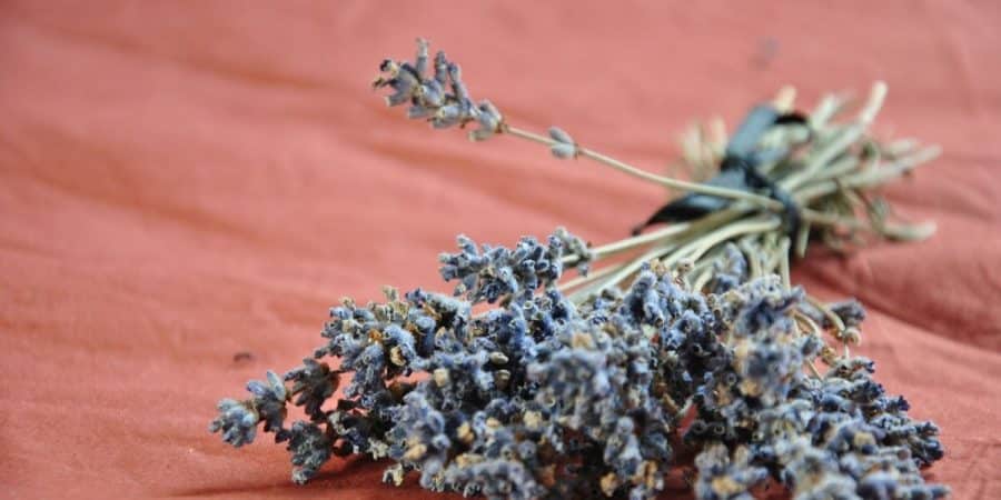 Drying Recommendations For Edible Flowers