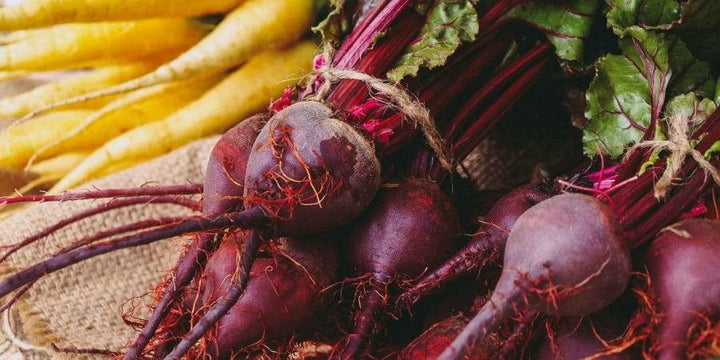 Rodale Family—Organic Food Leaders—Feature 1,000-Plus Recipes In Cookbook