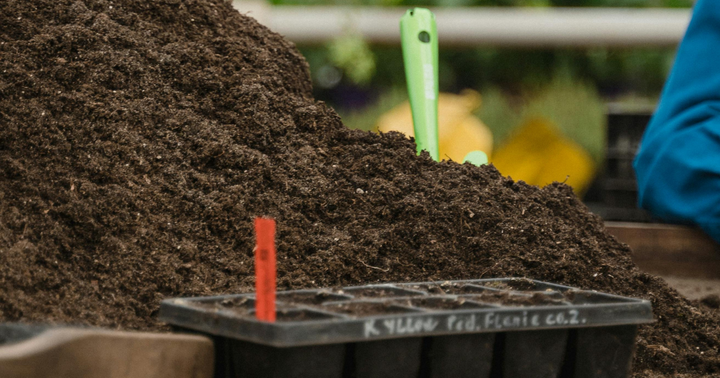 Peat Pots: The Good, Bad, And The Ugly