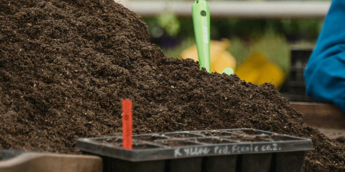 plant fertilizer spikes GreenStix Fertilizer Sticks For Plants | Green Stick For Plants – Lazy  Gardener