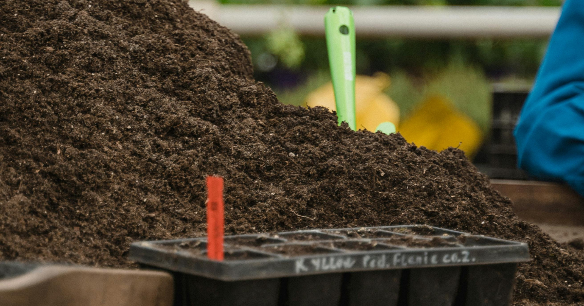 Peat Pots: The Good, Bad, And The Ugly — Seeds 'n Such