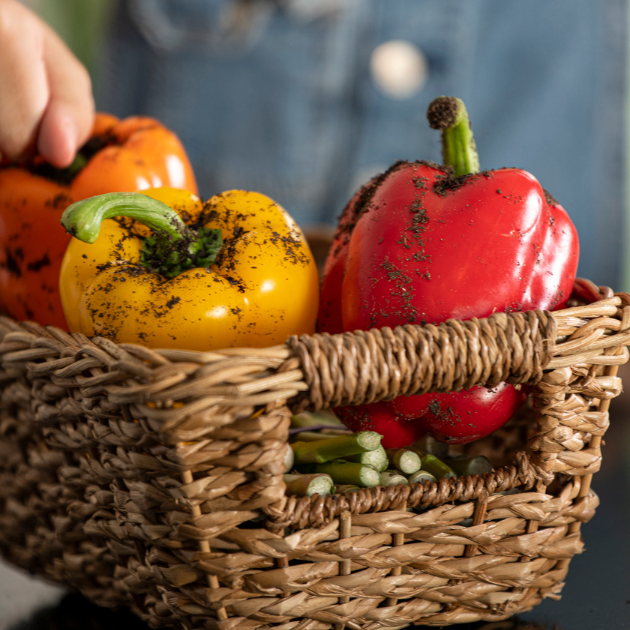 12 of Our Favorite Pepper Varieties (Sweet, Bell, and Chili Peppers)