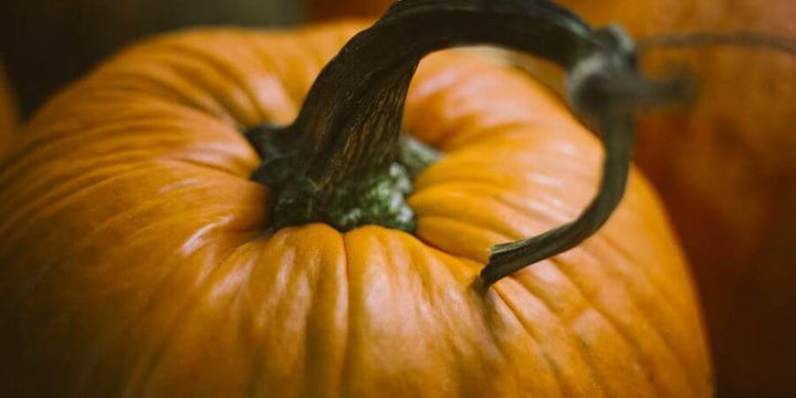 Pumpkins For Eating & Just For Fun