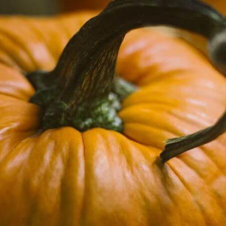 Pumpkins For Eating & Just For Fun