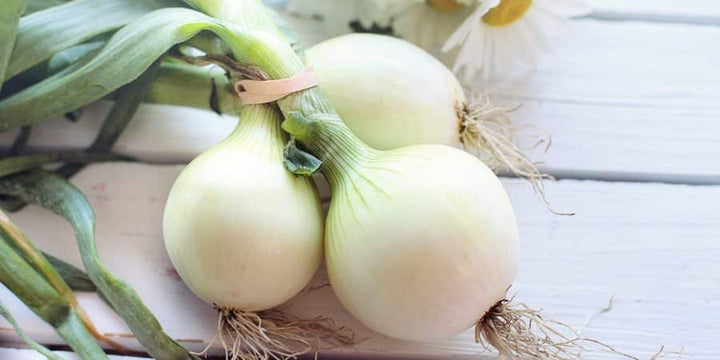 Our Shift From Pungent To Sweet Onions Likely Cost Us Precious Phytonutrients