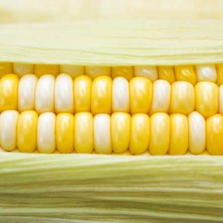 Sustainable Farmer Joel Salatin Cites Study Of Chemical Use On Sweet Corn