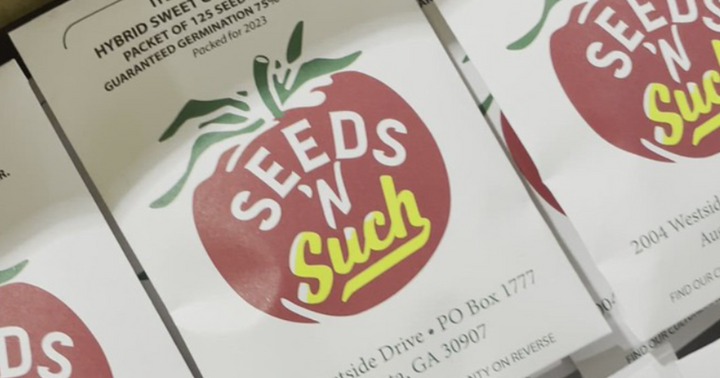Seed Buying 101