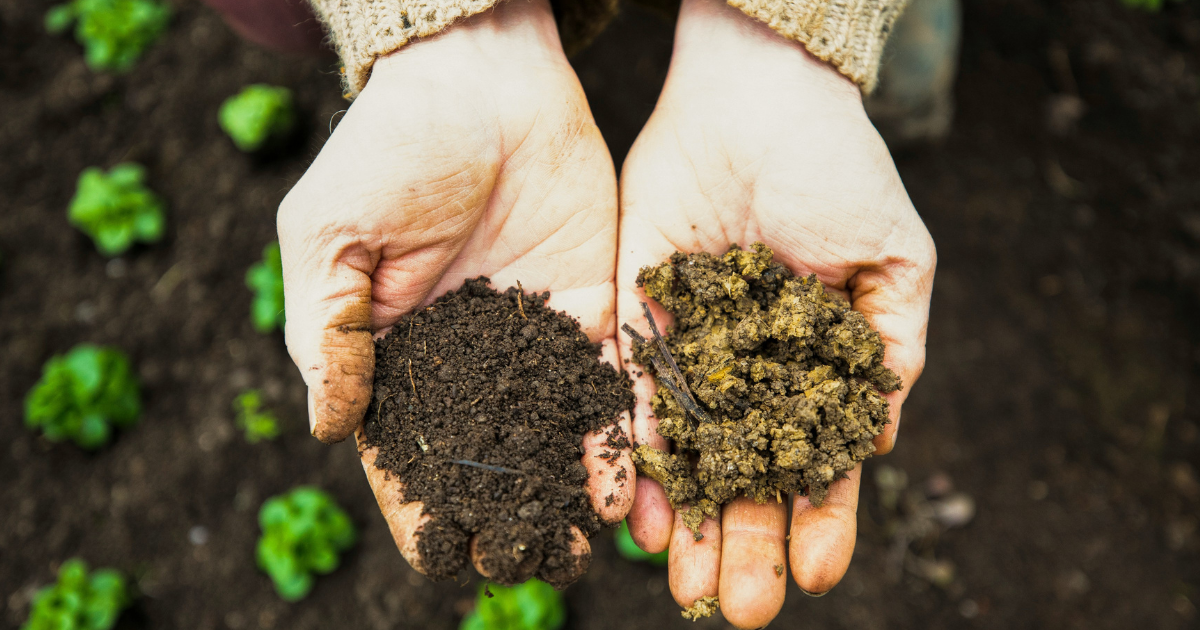 Do you need to add micronutrients to your garden?