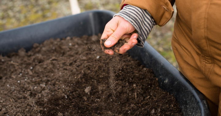 12 Miracle Soil Amendments to Set Your Garden Up for Success