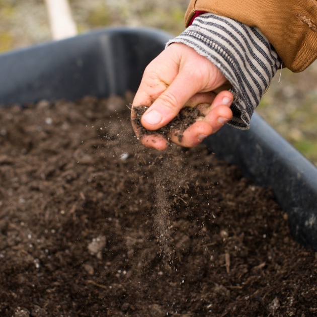 12 Miracle Soil Amendments to Set Your Garden Up for Success