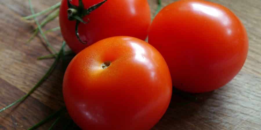 More New Tomato Introductions We Picked For Your 2018 Garden