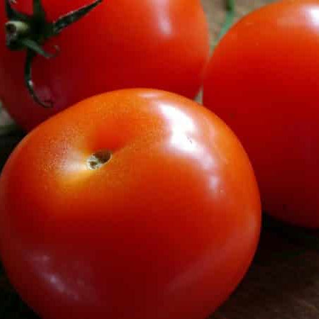 More New Tomato Introductions We Picked For Your 2018 Garden