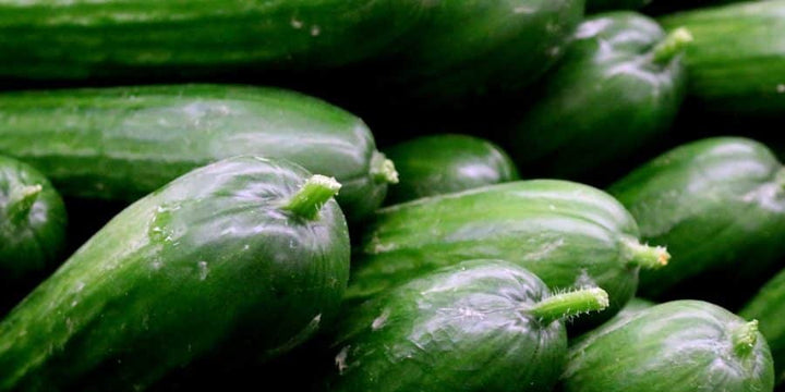 Our Favorite Varieties to Try This Spring