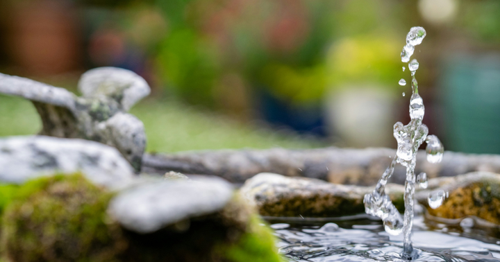 The Benefits of Adding Water Features to Your Garden